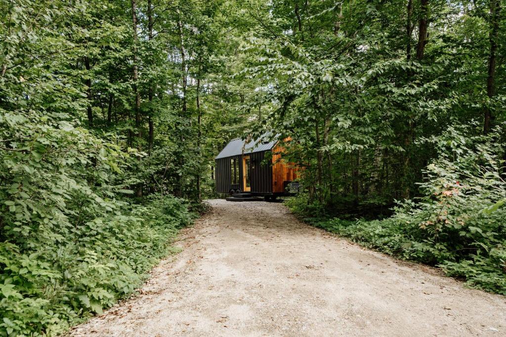 Lumen Nature Retreat - Habitación Cuádruple Deluxe