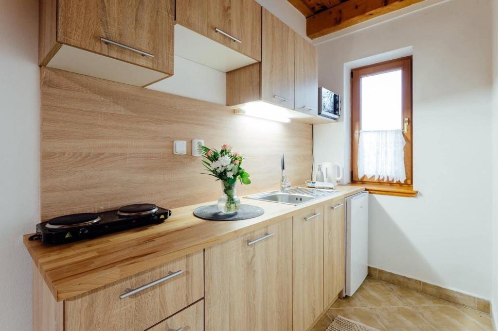 Kuchyň nebo kuchyňský kout v ubytování Slanický Dvor