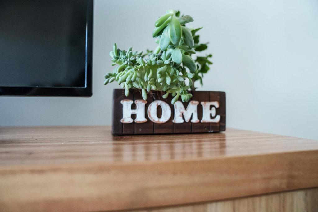 a plant sitting on top of a table at Departamento 2 Premium con Cochera y Piscina in Bahía Blanca