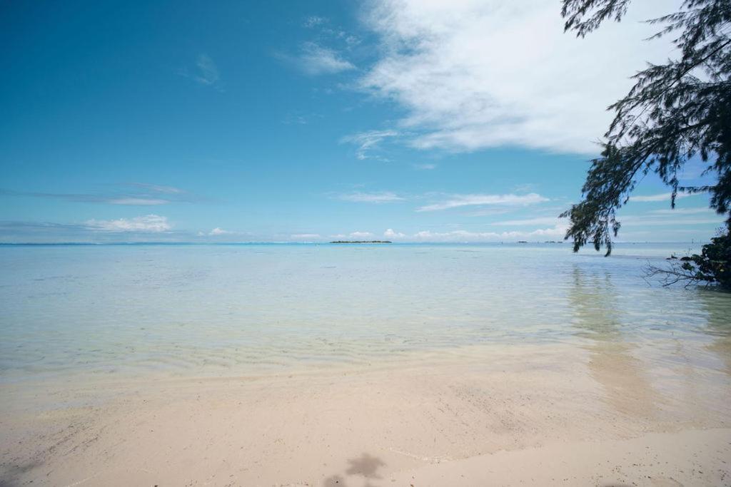Landskap semula jadi dekat dengan lodge