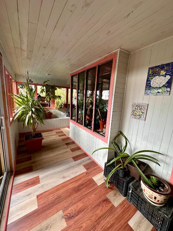 a porch of a house with potted plants at Hosta Altos de Gamboa in Castro