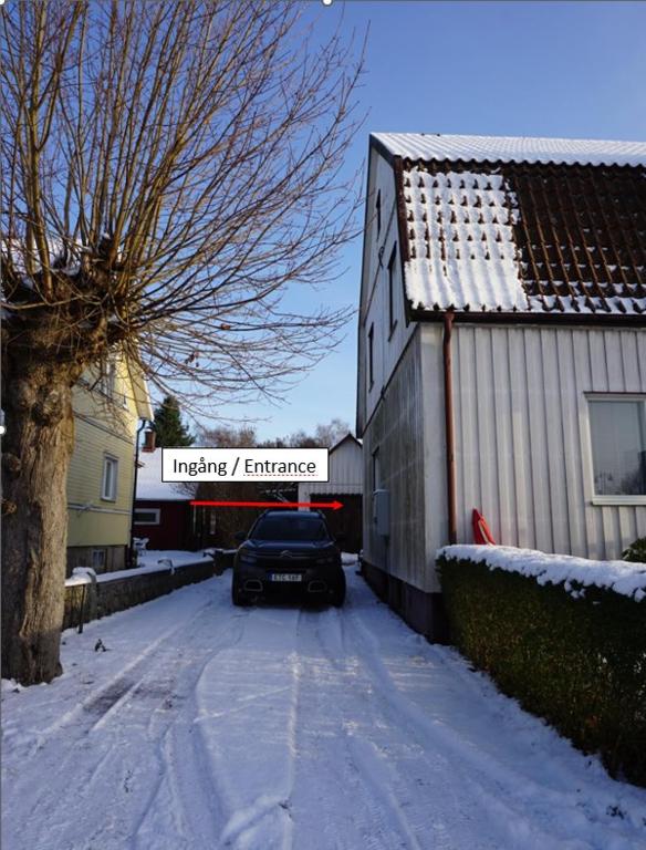Friluftens våning v zimě