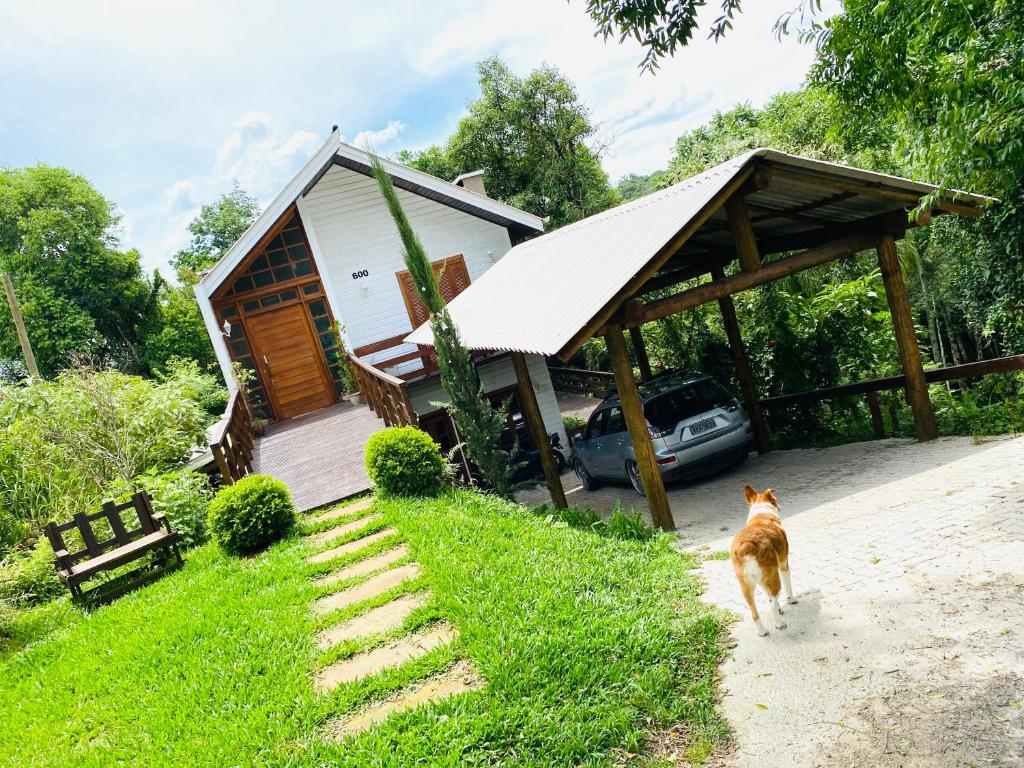 格拉玛多Paraíso dos Ciclistas的一只狗站在一个小房子前面