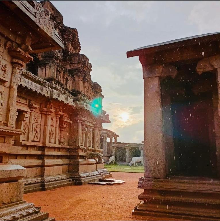 Reddy home stay photo