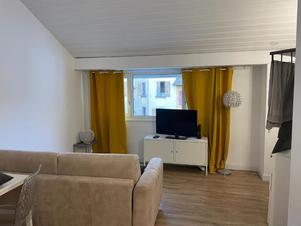 un salon avec un canapé et une télévision à écran plat dans l'établissement Le calme Grande rue, à Thonon-les-Bains