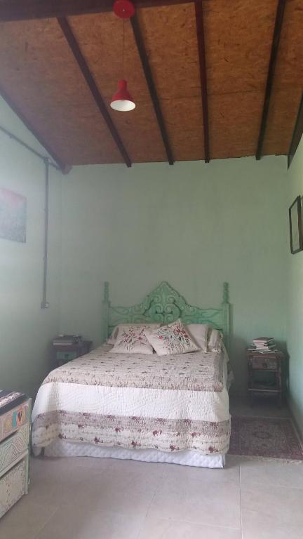 若阿诺波利斯Chalé的一间卧室设有一张绿色的床和木制天花板