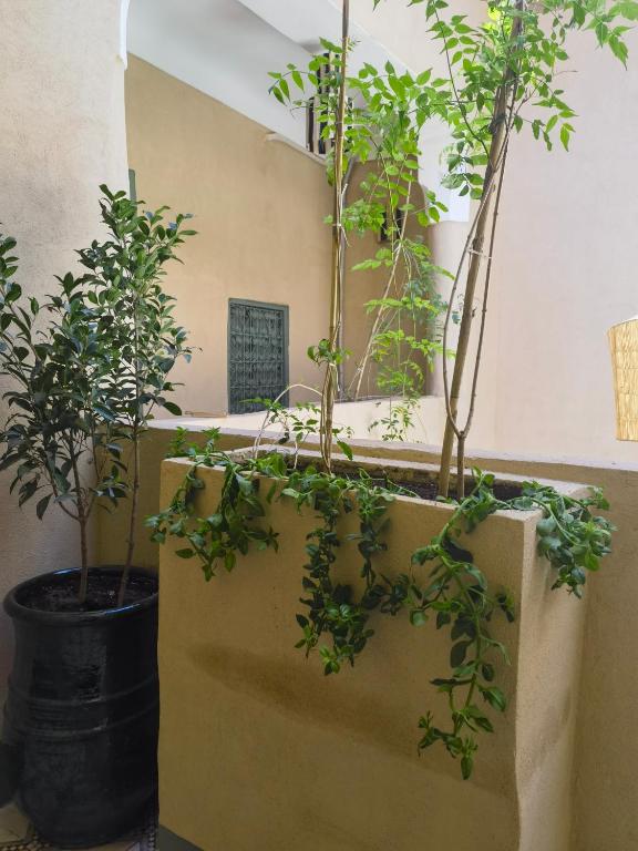 Fotografie z fotogalerie ubytování Medina Oasis Hostel v Marrákéši