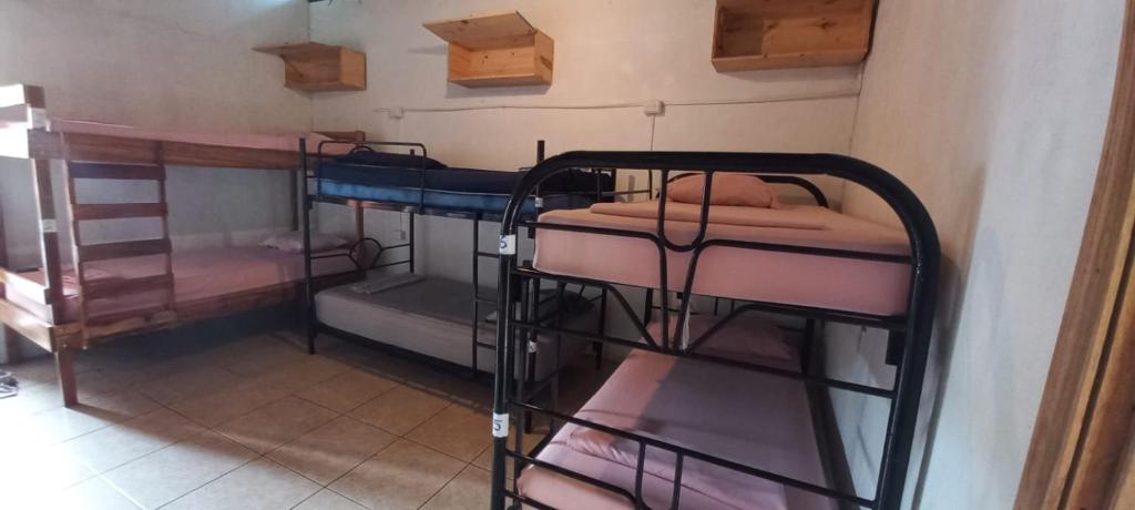 Postel nebo postele na pokoji v ubytování Backpackers Caribe Puerto Viejo