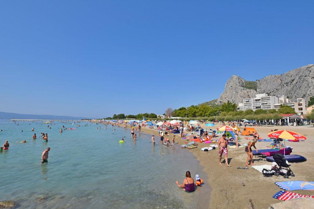 Príroda v okolí apartmánu