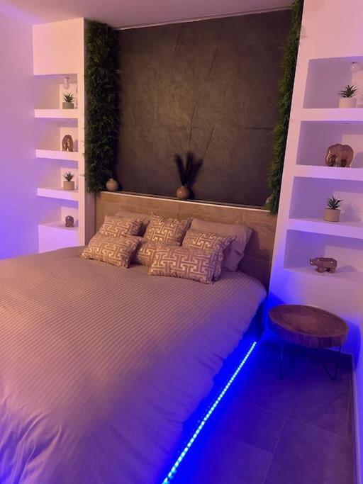 AvolsheimにあるMagnifique gîte avec jacuzzi et sauna privatifsのベッドルーム1室(紫色の照明付きのベッド1台付)