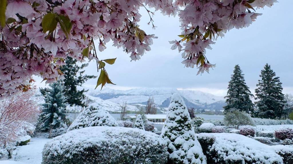 The Shan's Lodge - Resim 30