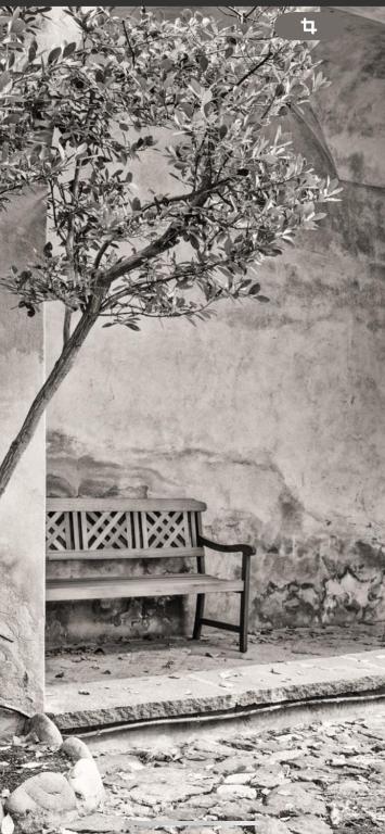 Fotografie z fotogalerie ubytování Schloss Freudenstein v destinaci Appiano sulla Strada del Vino