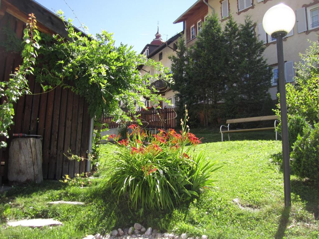 Zahrada ubytování Residence Zum Theater