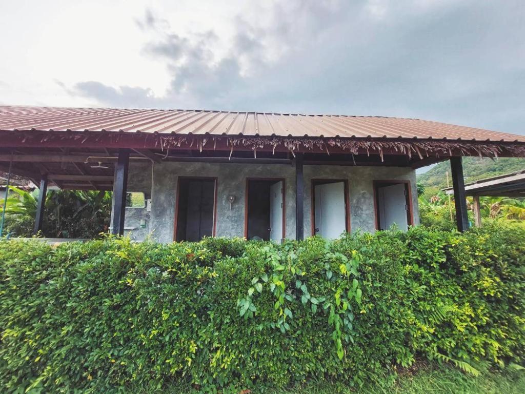 Zahrada ubytování Samui Camping Farm