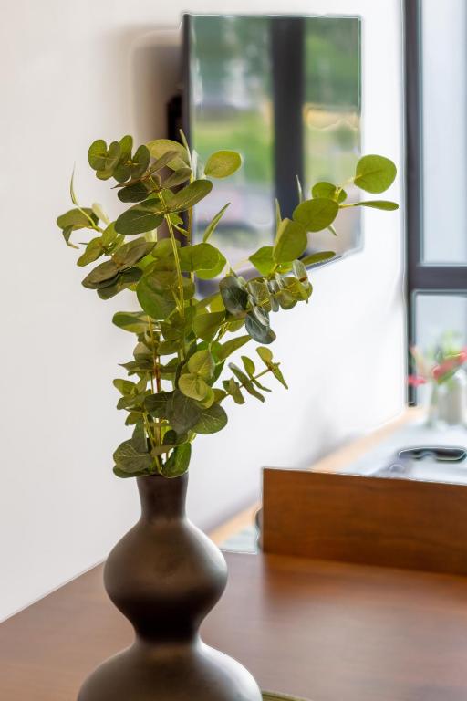 Central City Apartment with Lift Access - Resim 16