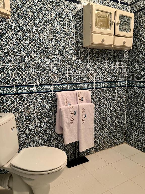 Koupelna v ubytování Dar Ali - Guesthouse
