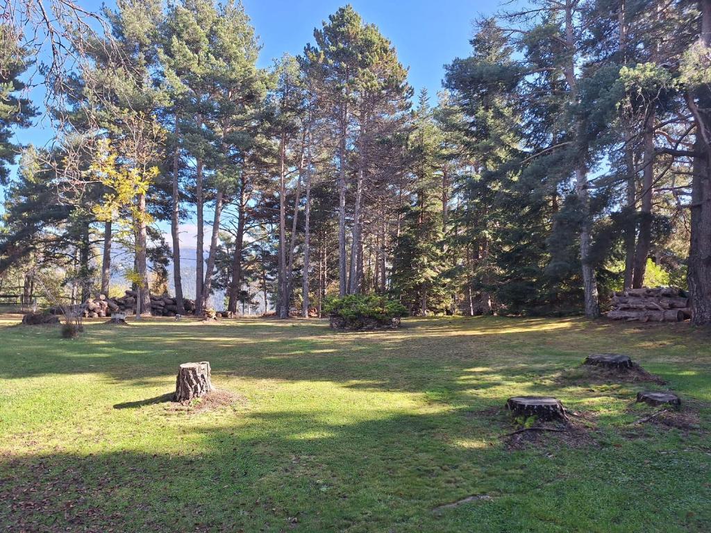 un parc avec des arbres et des bûches dans l'herbe dans l'établissement refugio en el bosque, à La Molina