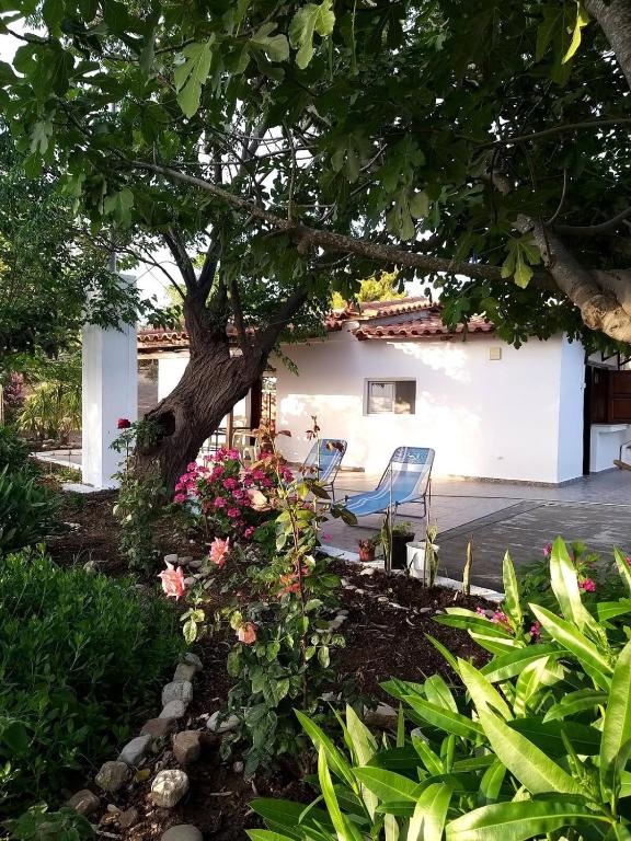 a chair under a tree in a garden at Maria's Home in Kakovatos
