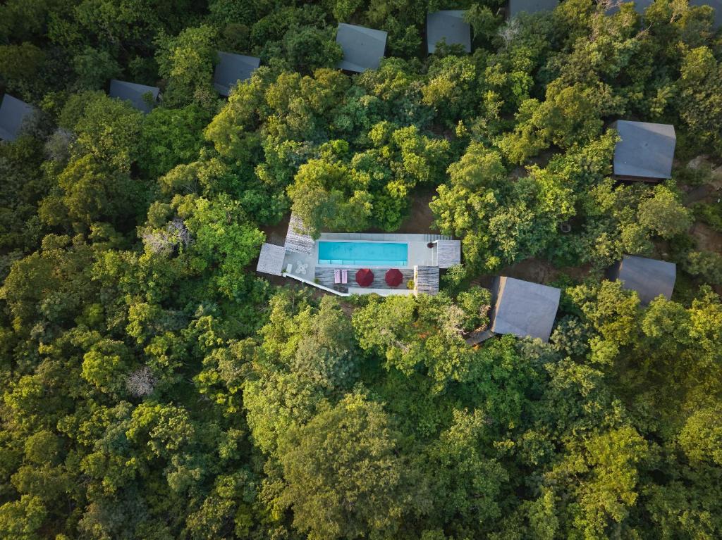 Bazén v ubytování Cocolia Hotel nebo v jeho okolí