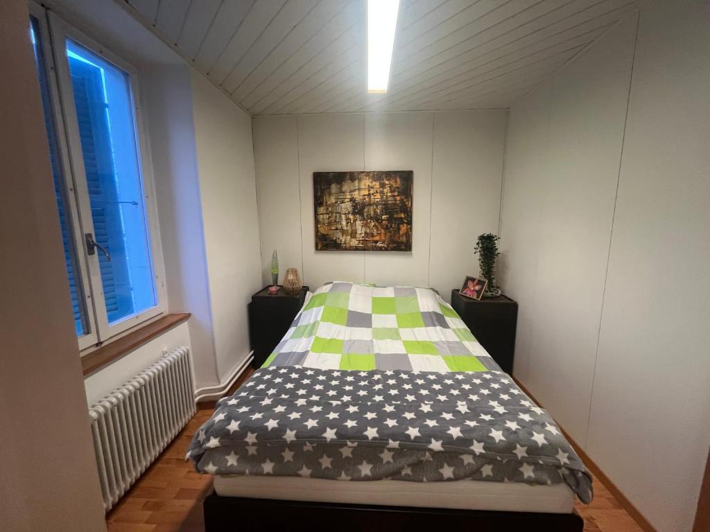 una piccola camera da letto con un letto in una stanza di Delemont Bliues Hostel a Delémont