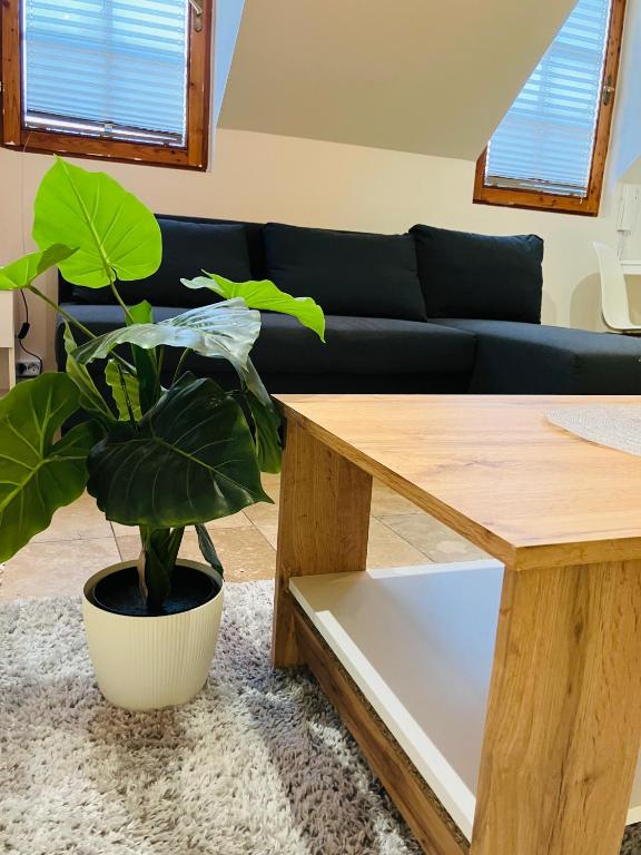 Downtown Apartments DeLuxe - Resim 9