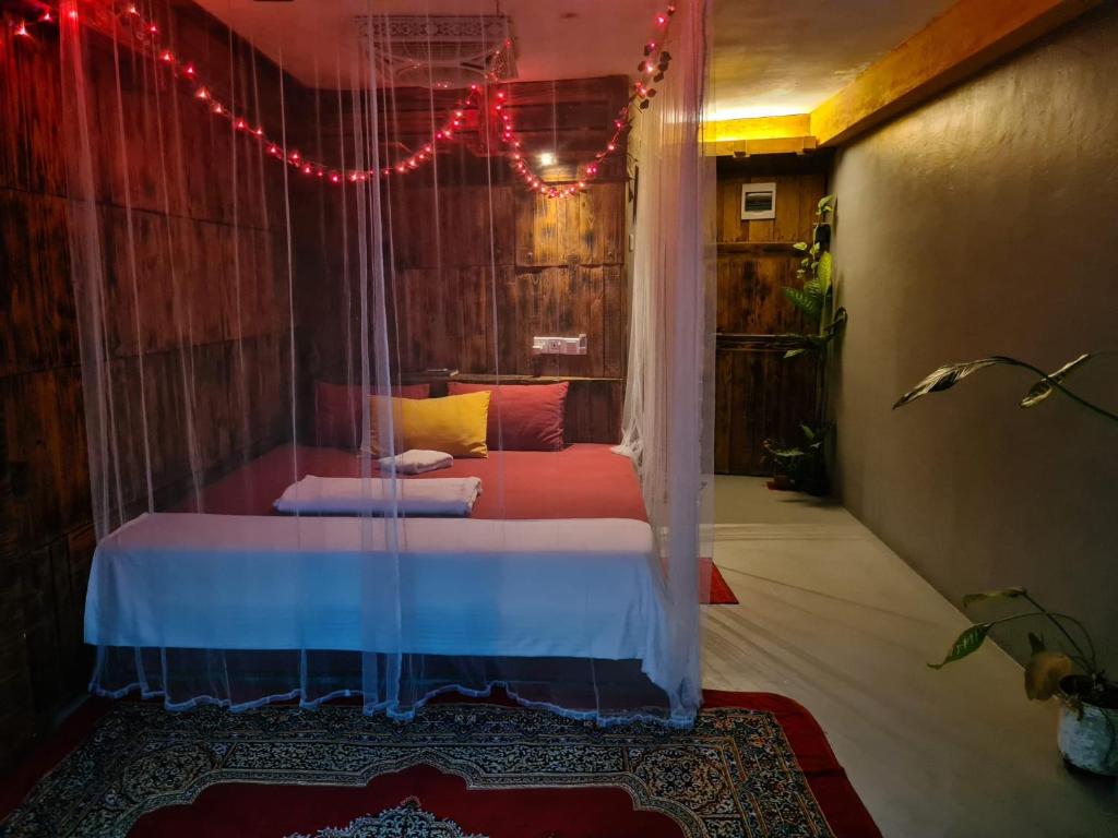 La pinchi " Pinchi's Bed " - 2