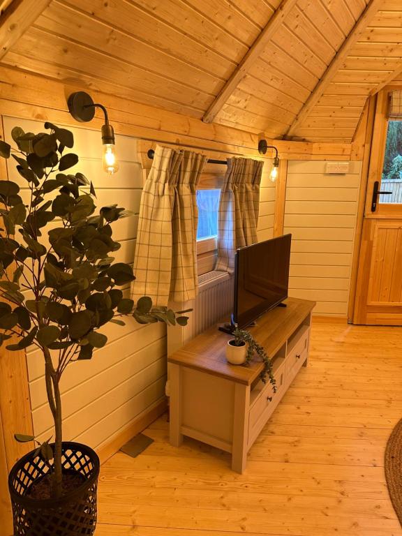 TV a/nebo společenská místnost v ubytování x Hatton Lodge x