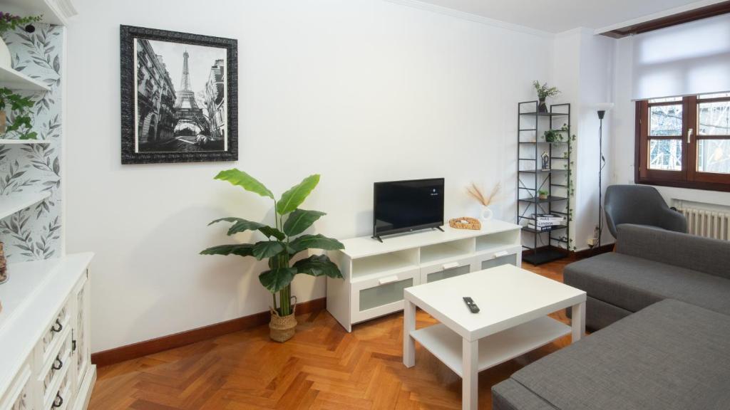 a living room with a couch and a tv at AG Piso Valle Inclán en el centro de Carballo in Carballo