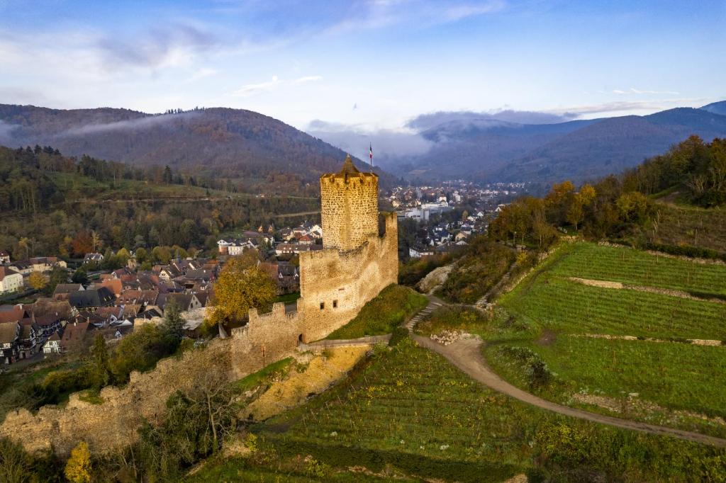 Origin'Alsace – photo 18
