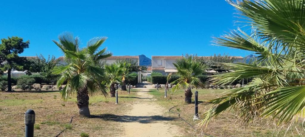 einen Weg durch ein Feld mit Palmen in der Unterkunft Corse Villa bord de mer in Cervione