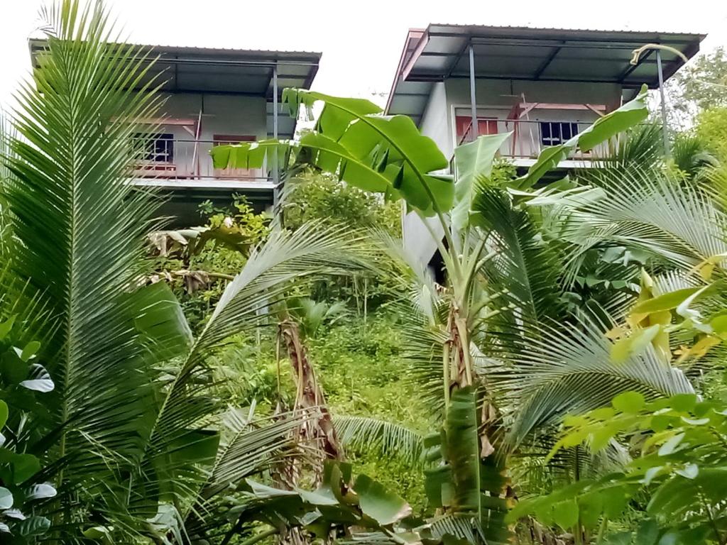 a view of a house from the garden at Hubkhao Resort in Ko Lanta