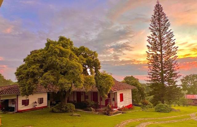 a house with a large tree in the yard at Casa Vieja Mountain Lodge in Ayacucho
