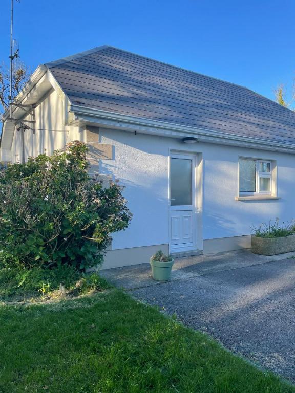 a white house with a door and a yard at Woodland Cottage in Galway