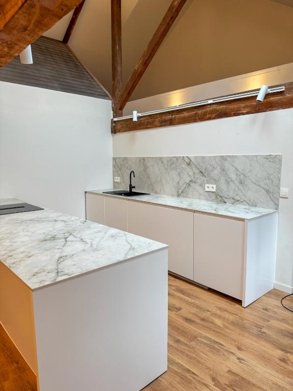 Kuchyň nebo kuchyňský kout v ubytování Spacious, newly renovated loft - 107m2