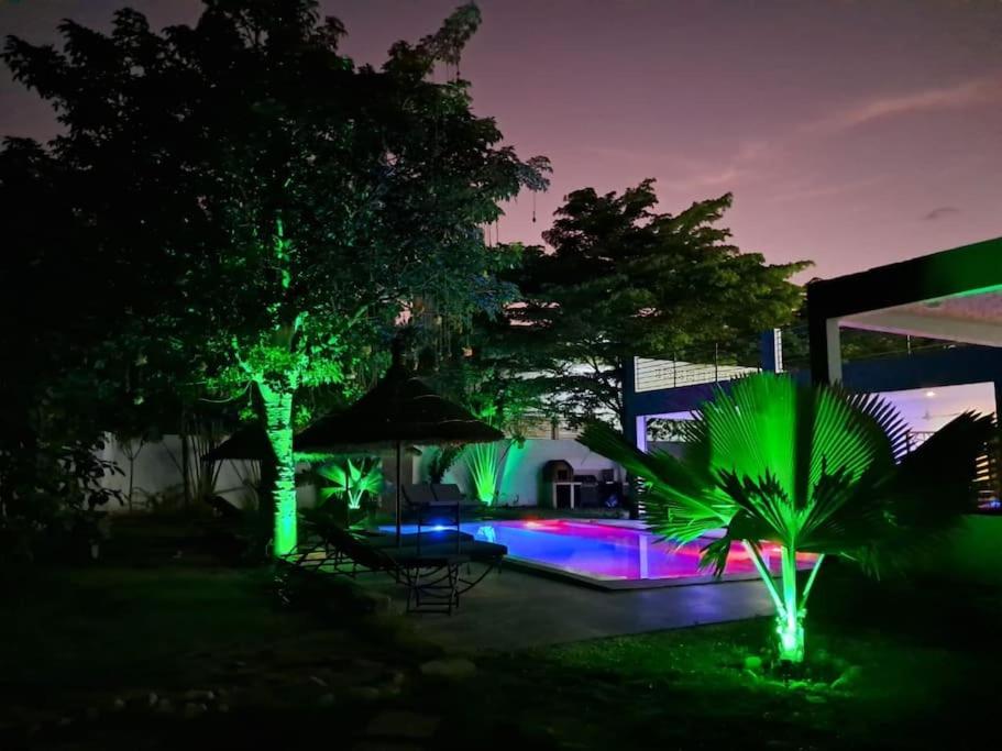 Jardí fora de Palace Baobab
