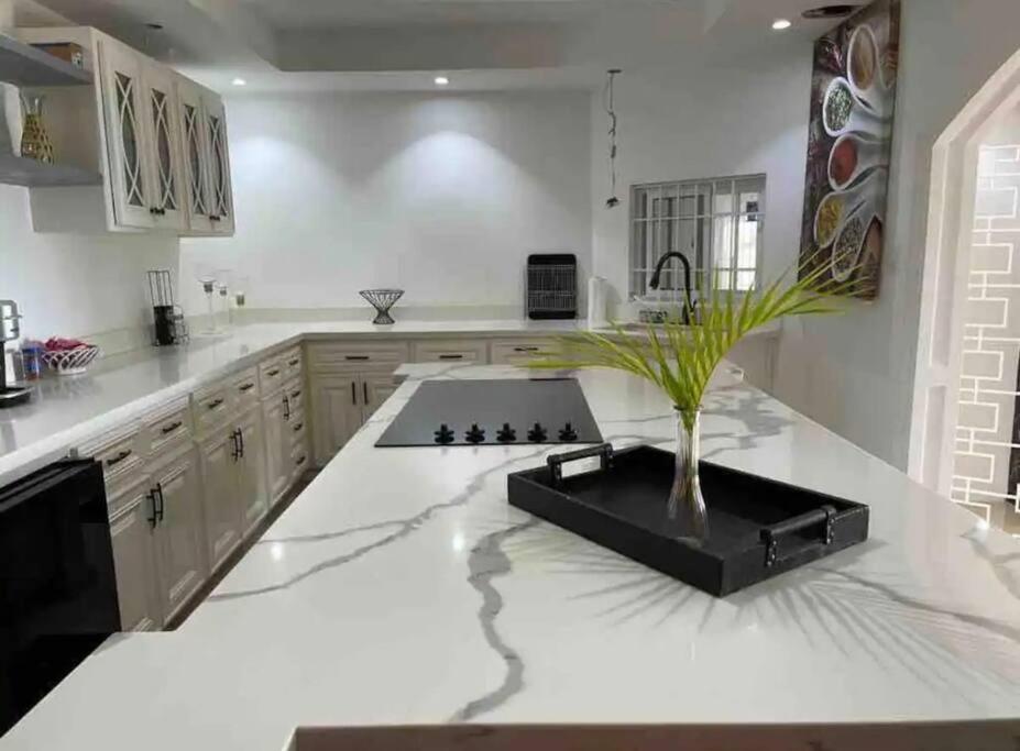 Kuchyň nebo kuchyňský kout v ubytování Mosaic luxury Villa
