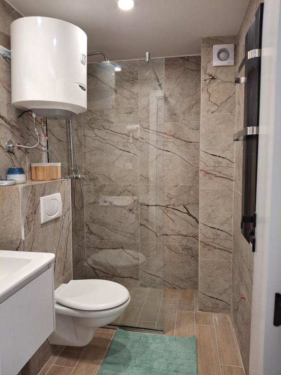 Kopaonik,President Kop app Katarina1 free wellness&spa - Resim 3