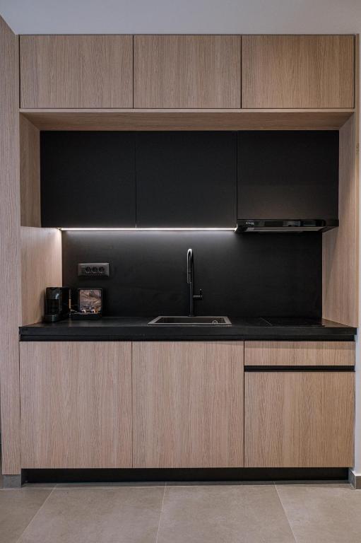 Kuchyň nebo kuchyňský kout v ubytování Kleopatra Homes