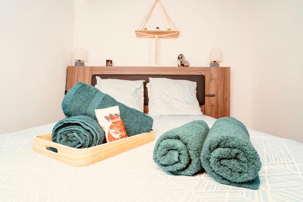 Photo de la galerie de l'établissement Élégant Duplex Historique Alsacien, à Haguenau