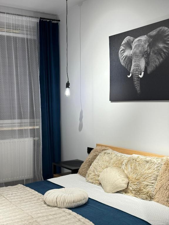 Good Time Apartments Koscielna 33 - 14