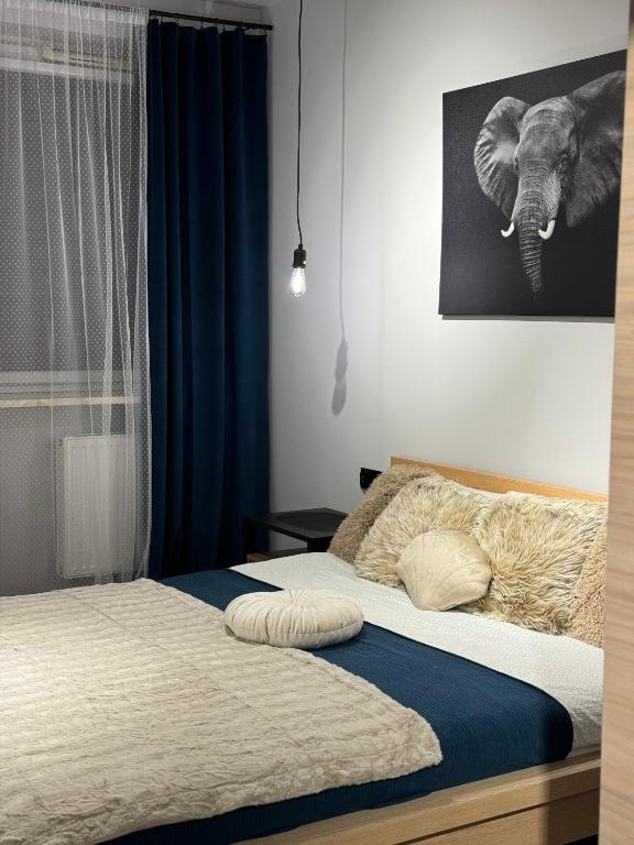 Good Time Apartments Koscielna 33 - 18