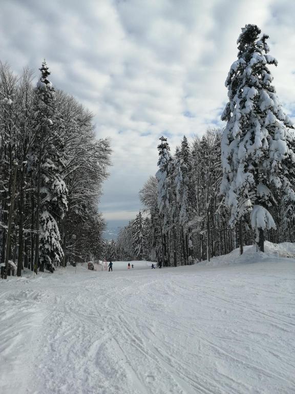 Luxury Wide View Apartment Pohorje Bellevue v zimě
