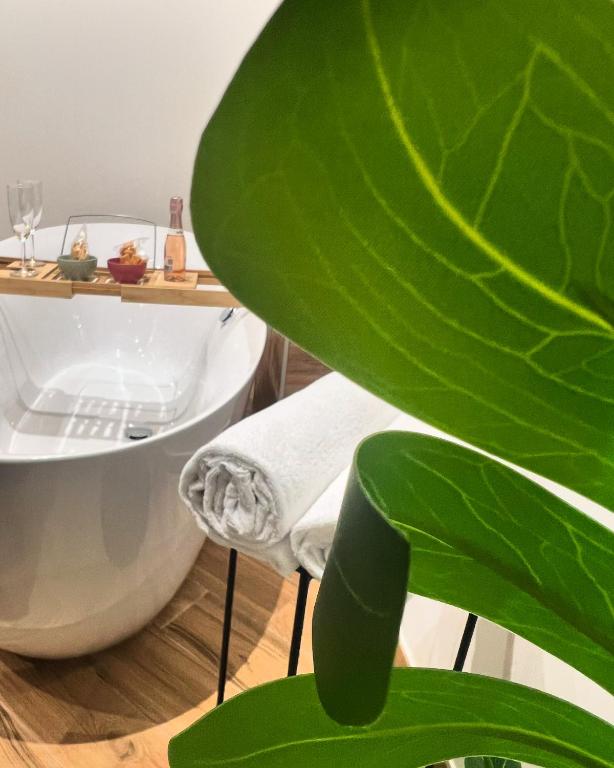 Dimora Diaz B&B - 13