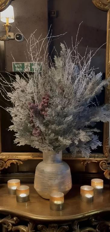 Hotel EvoZava Central - Resim 12