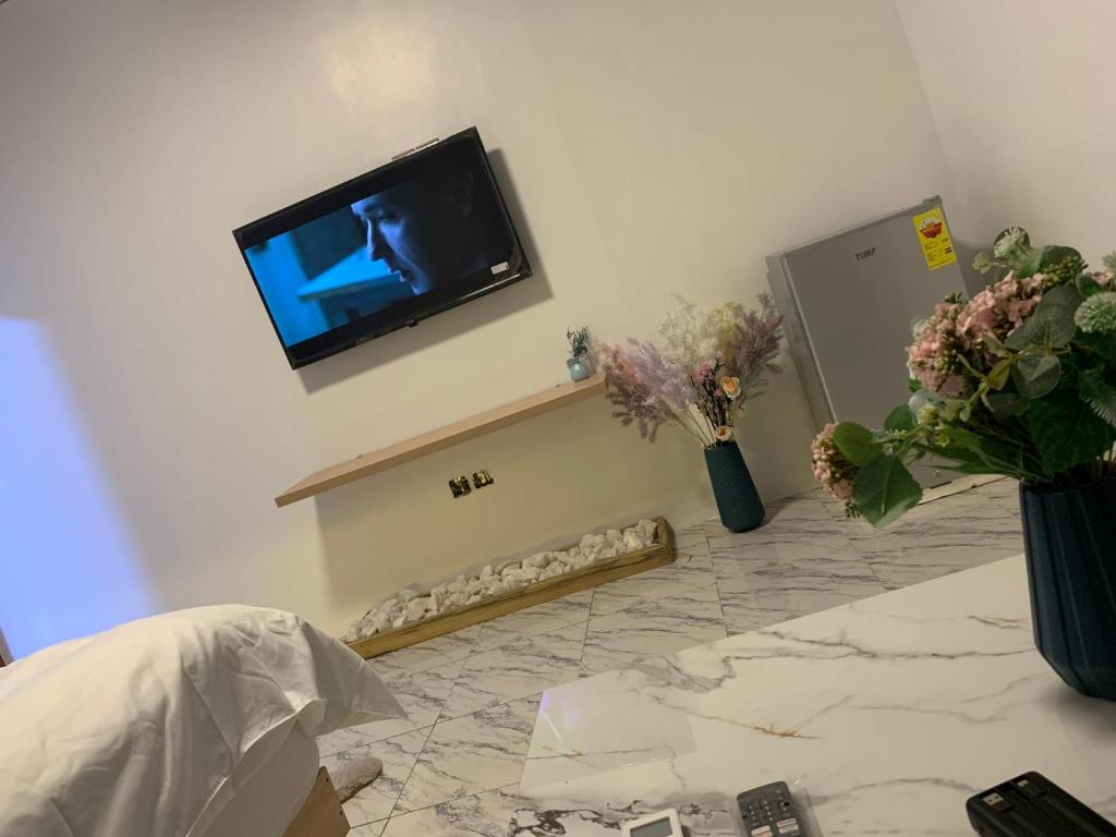 TV a/nebo společenská místnost v ubytování Hotel Spintex
