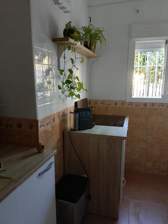 A kitchen or kitchenette at Santa Justa