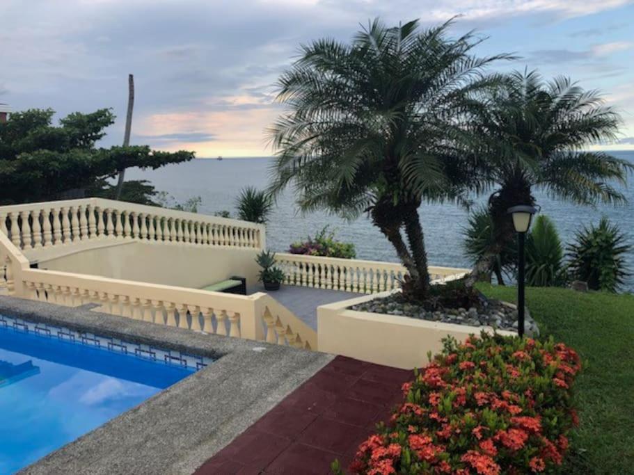 a villa with a swimming pool and a palm tree at Sea view Apartment in Puerto Limón