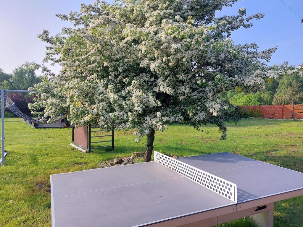 Vonkajšia záhrada v ubytovaní Holiday homes with shared pool, Kolczewo