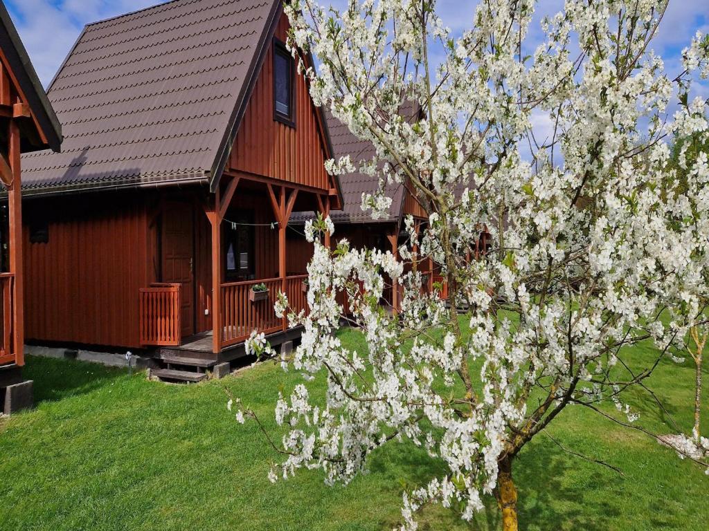 Vonkajšia záhrada v ubytovaní Holiday homes with shared pool, Kolczewo