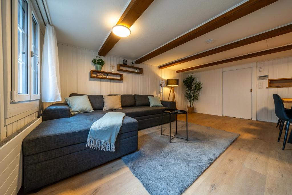 Large apt in town center next to Brunngasse & near lake, Brienz (updated prices 2025)